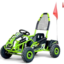 Бензиново UTV 200сс офроуд offroad безплатен профи пакет